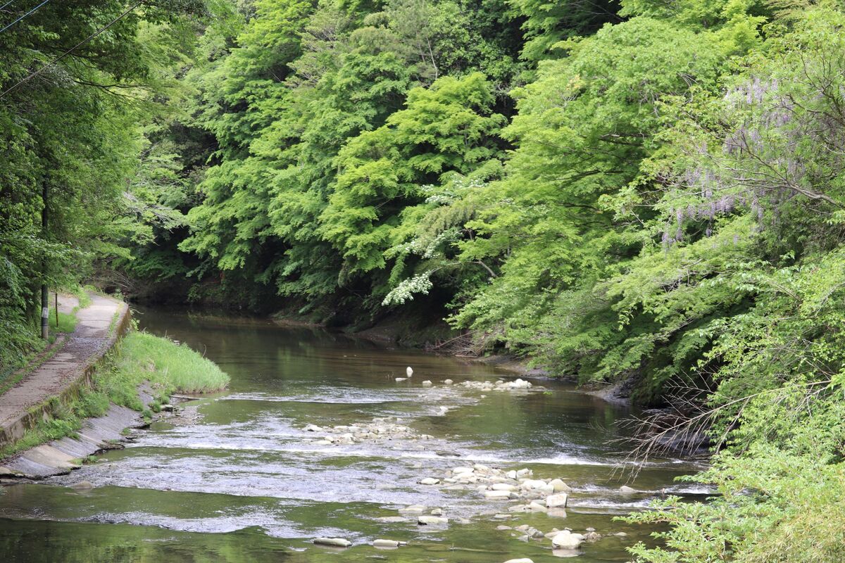 養老渓谷 | 房総半島を代表する渓谷 新緑＆紅葉を満喫しよう