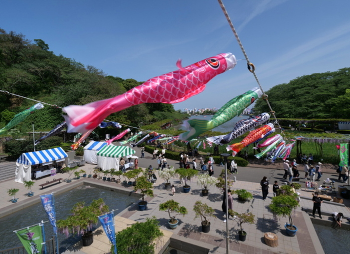 2025】こいのぼりイベント 東海でGW開催のおすすめ9選 | いこーよとりっぷ