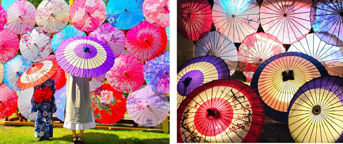 【美品】高級舞踊傘 紫 和傘　番傘 日本舞踊 撮影小道具 箱付き 舞踊傘 踊り傘 紙傘 紙舞傘 番傘 歌舞伎 日本舞踊 踊り 小道具