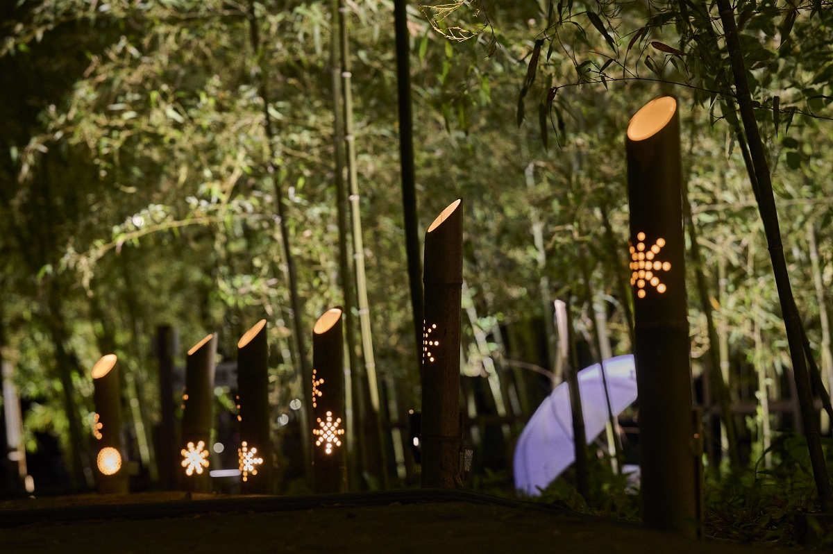 第7回高山社跡竹林ライトアップ（2025年） | 竹灯籠と和傘の幻想的な