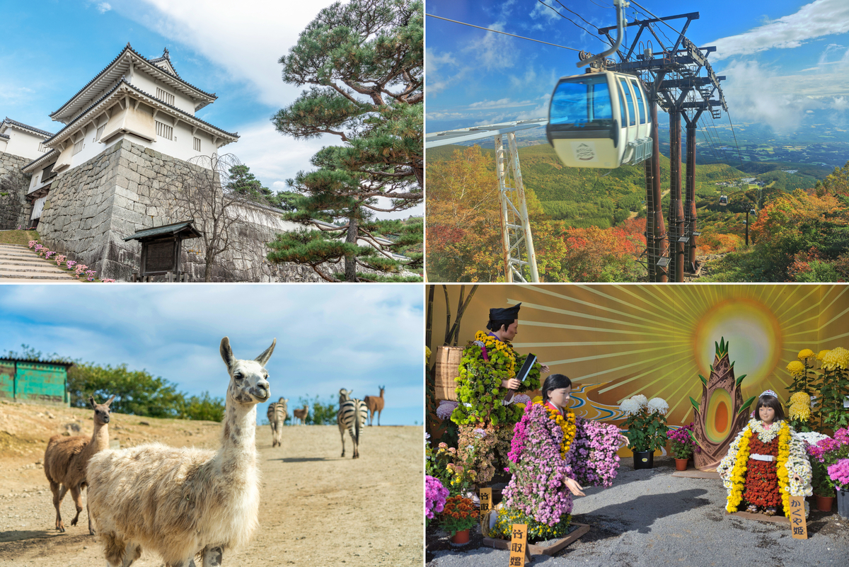 福島二本松市の観光名所＆穴場5選｜2026週末日帰りドライブ＆1泊旅