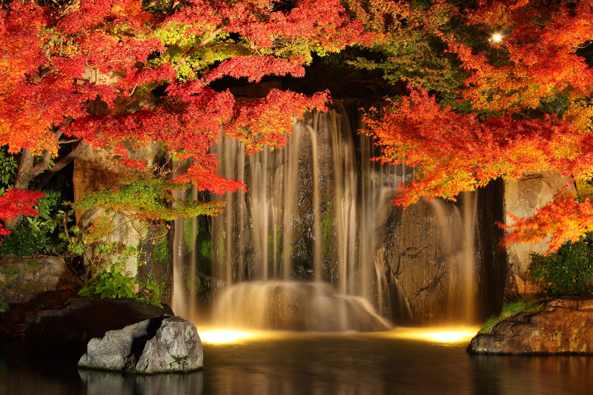 large_202410241556286719ef9c41