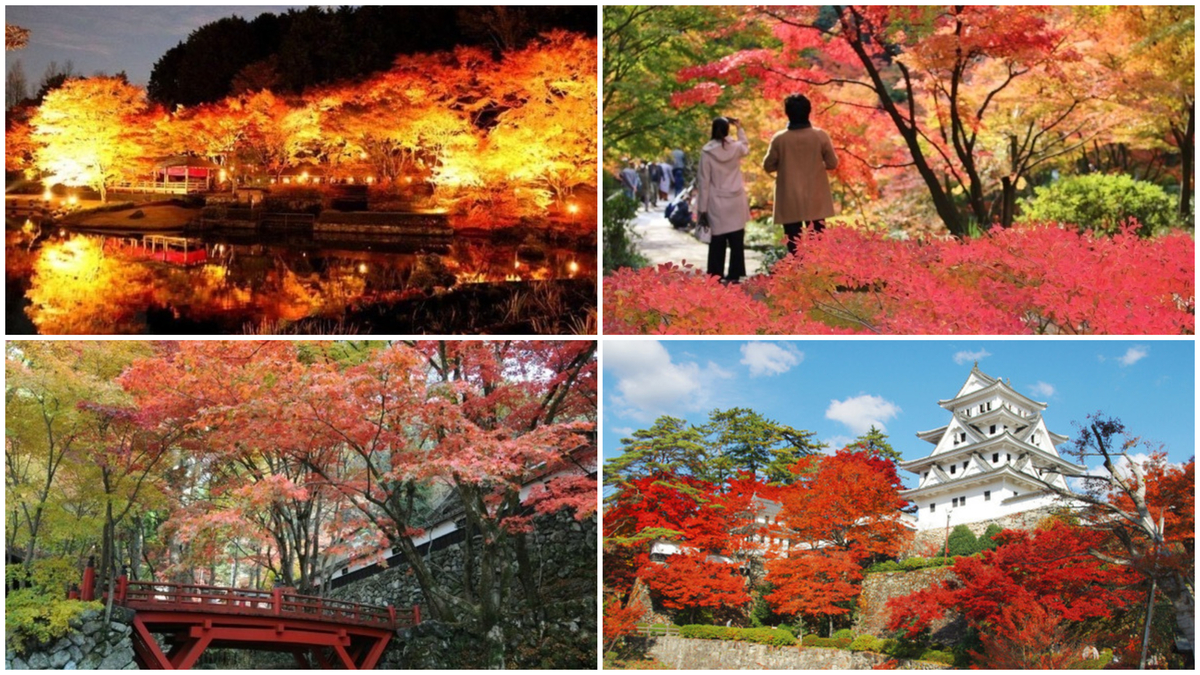 large_FotoJet_-_2024-11-