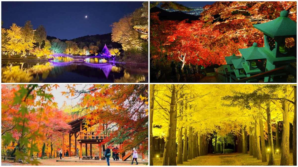 関東】11月23日・24日の今週末に開催 紅葉まつり＆ライトアップ11選