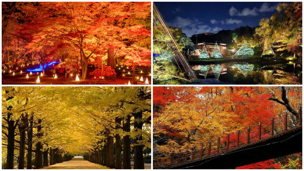 関東】11月30日・12月1日今週末に開催 紅葉まつり＆ライトアップ