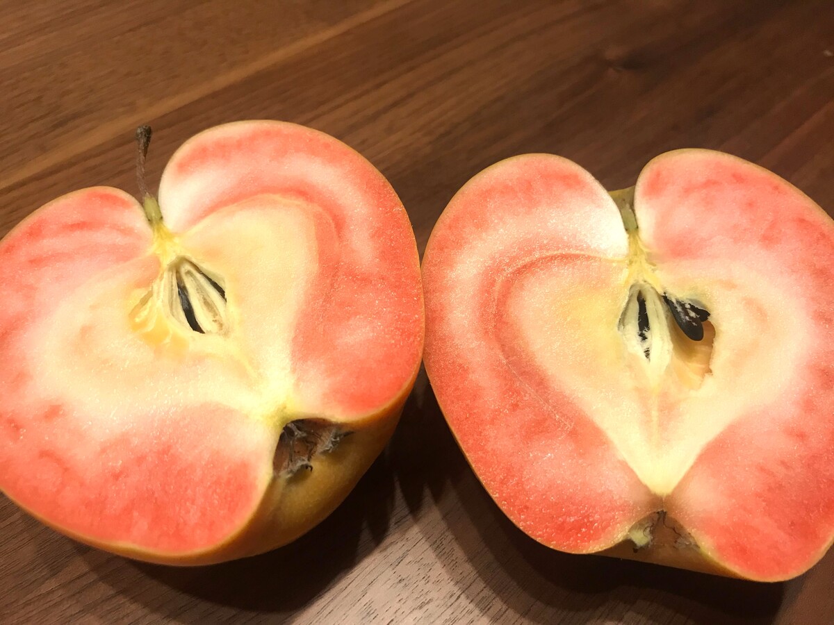 実食レポ第1弾】希少品種も!気になる「りんご」3種を食べ比べ 実食レポ第1弾】希少品種も!気になる「りんご」3種を食べ比べ