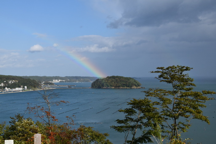 ３０年前に南城市海岸にて拾ったかいがらたち 海の見える命の森 | 震災の記憶と希望を未来へつなぐ 南三陸町「海の