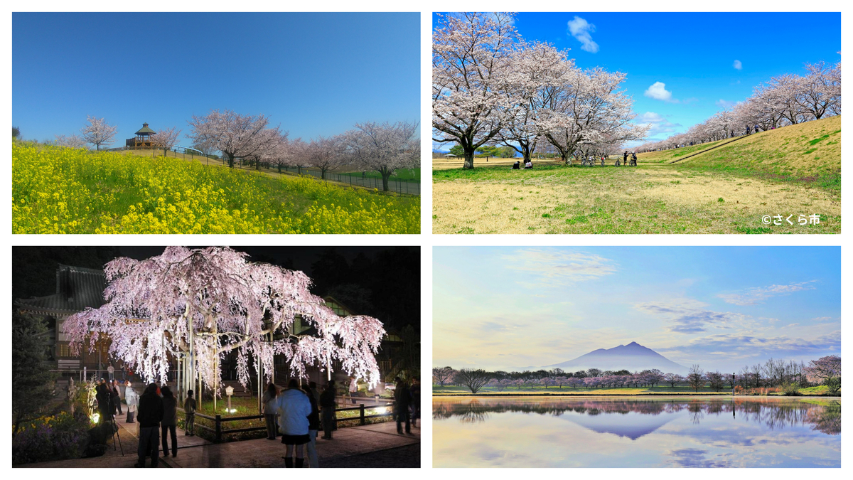 2025】北関東の桜の名所15選 人気から穴場まで厳選・見頃情報も | いこ