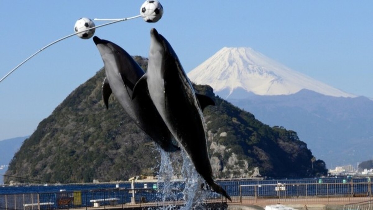 シーグラスアート　青いバラと流れ星☆ b0cafa164e85b1bdd4b1086598a319