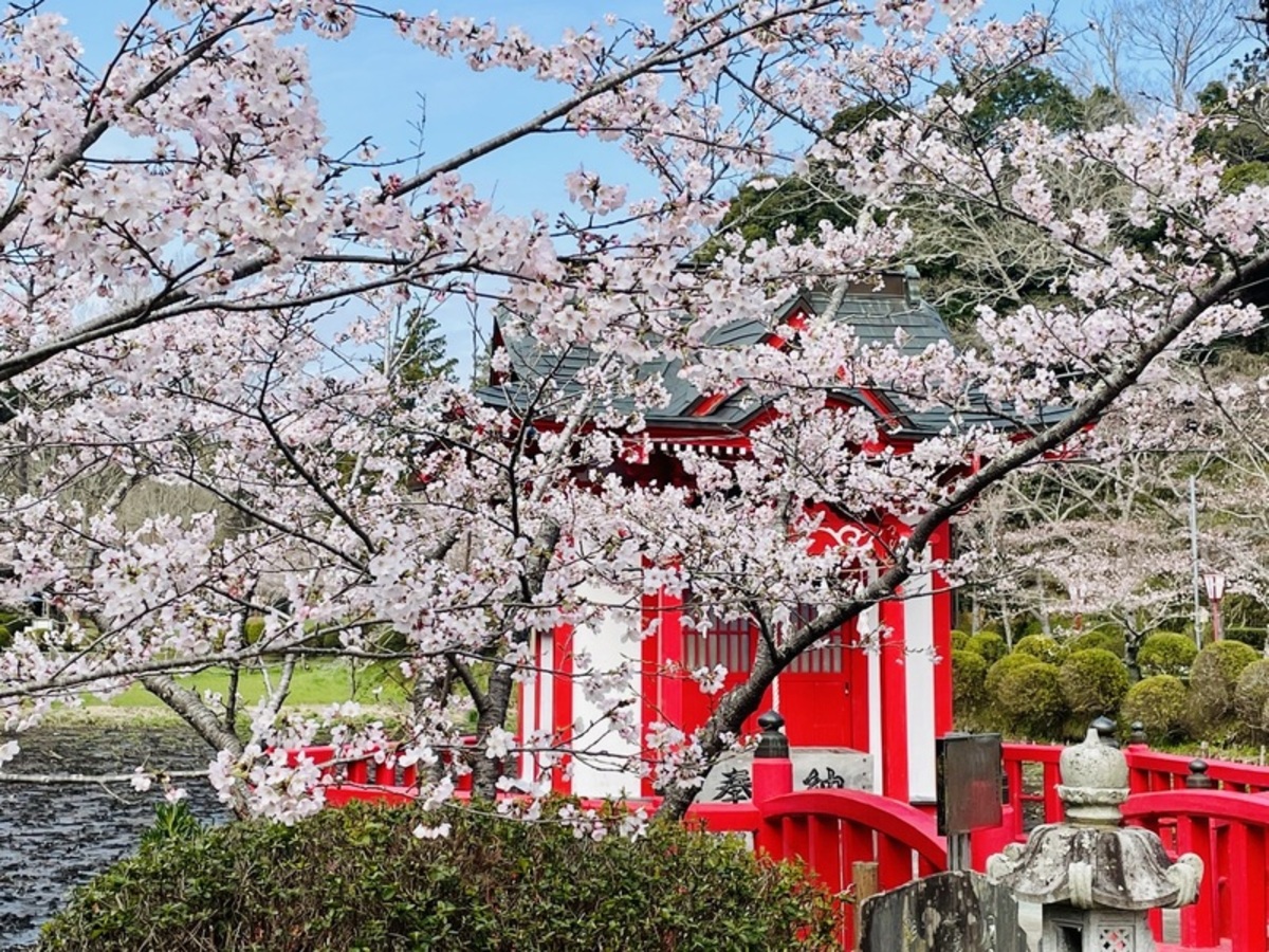 藻原寺 稚児行列・お寺でコンサート