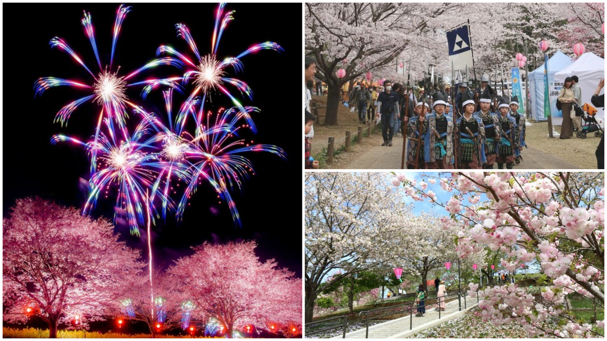 茨城】まもなく開花！2025桜まつり 人気桜名所でお花見＆グルメも