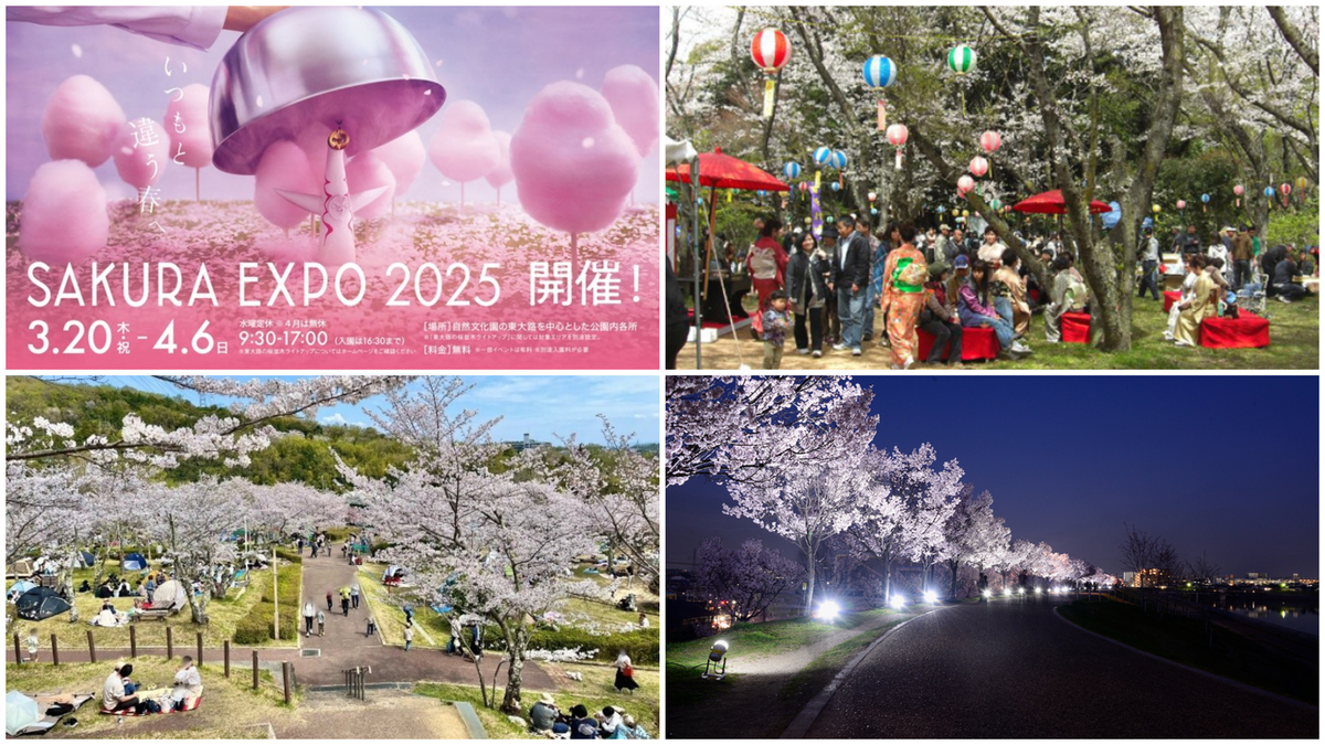 大阪】まもなく開花！2025桜まつり 人気名所でお花見＆グルメも | いこ