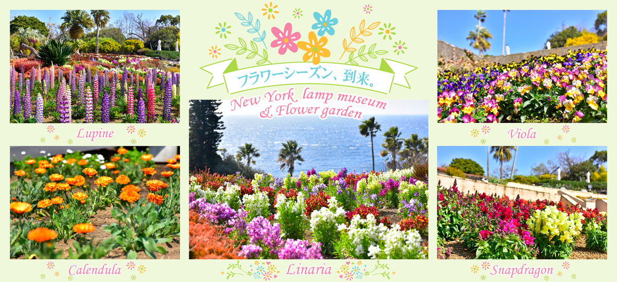 海を背景に花々が彩る絶景スポット 伊東市のフラワーガーデンで春景色