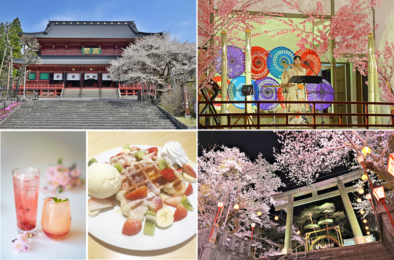 2025春の日光でやりたい5つのこと GWも桜が開花！弥生祭やグルメも