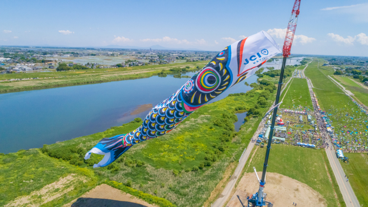 加須市民平和祭／ジャンボこいのぼり遊泳（2025年） | 100mのジャンボ