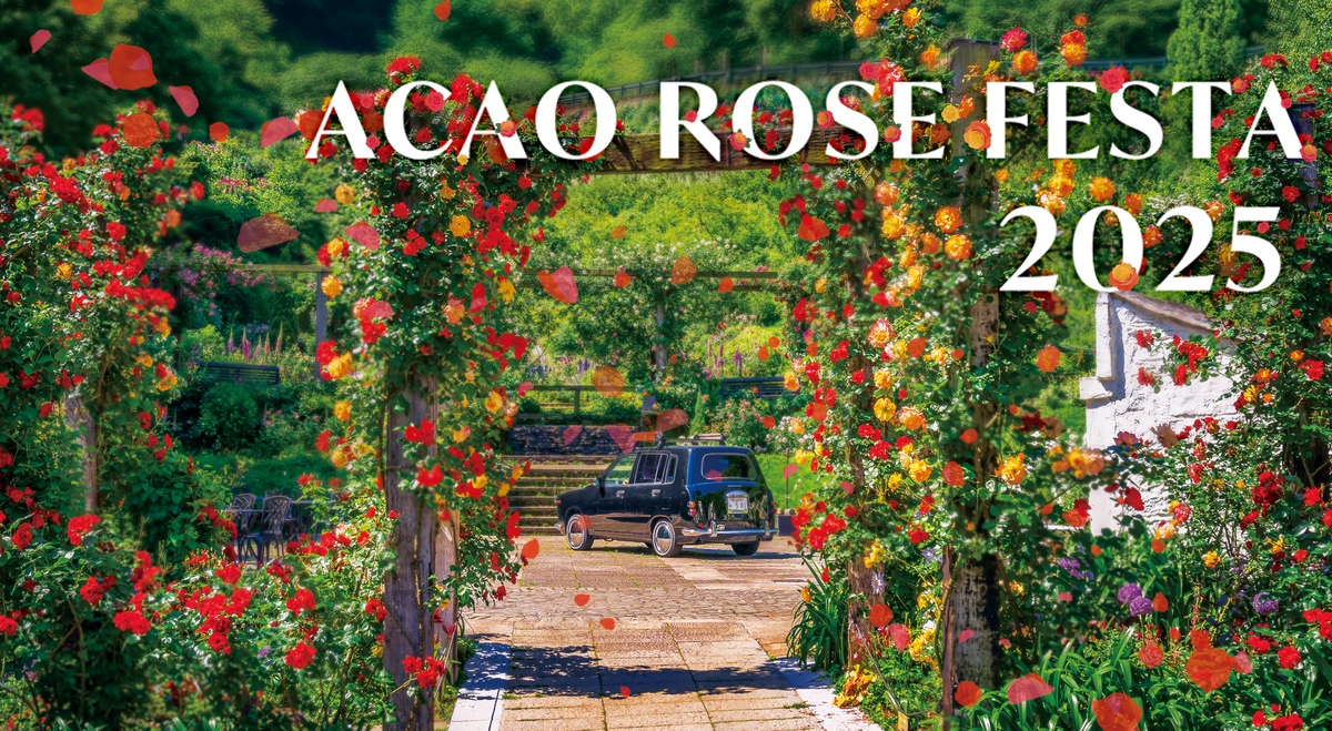 ACAO ROSE FESTA 2025 | 600種4,000株のバラが咲き誇る！ 熱海の丘陵
