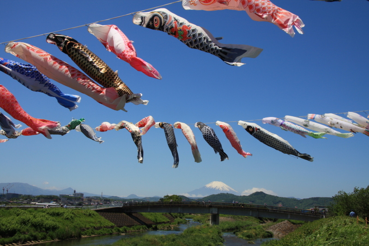 鈴川鯉のぼりまつり（2025年） | 雄大な富士山をバックに 優雅に泳ぐ