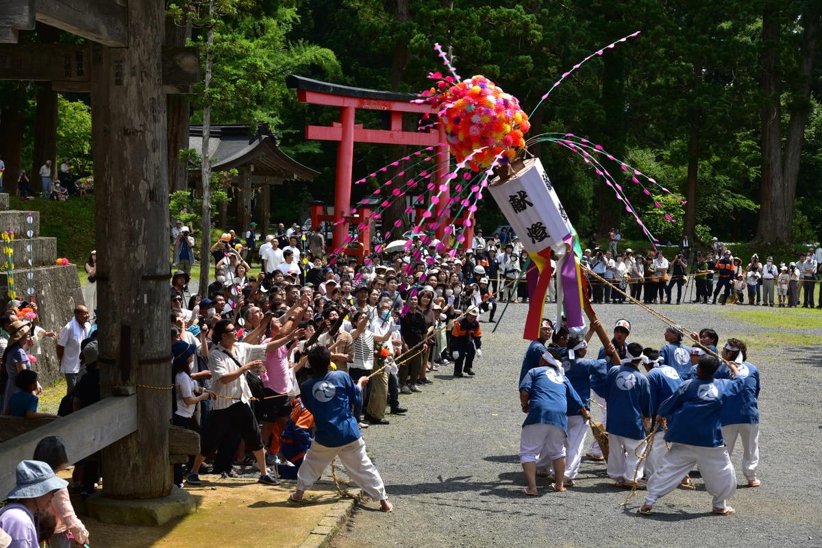 出羽三山神社例大祭（花祭り）（2025） | 花を奪い合い魔除けや豊作を