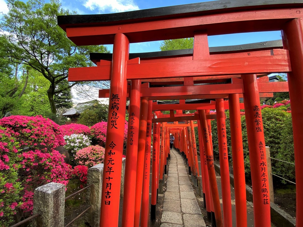 2026東京】「千本鳥居がある神社」8選 駅から10分以内＆親子におすすめ 