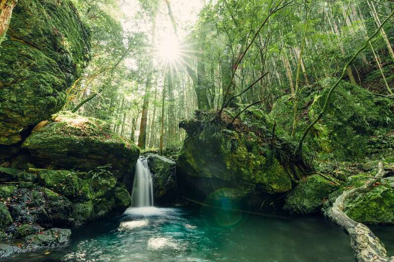 熊野古道・海・グルメを満喫<br/>歴史と自然に恵まれたまち