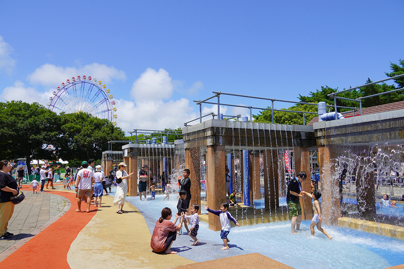コキア・ジニア・ヒマワリ満開！<br/>ひたち海浜公園で夏フェア開催