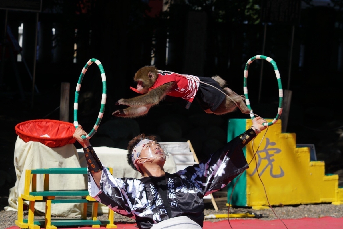 江戸趣味納涼大会 うえの夏まつり（2024年） | 上野「不忍池」に浴衣で
