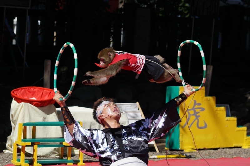 江戸趣味納涼大会 うえの夏まつり（2024年） | 上野「不忍池」に浴衣で