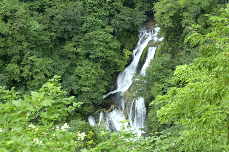 天然ミストが涼しい栃木の滝8選<br/>夏に日帰り！見どころ＆周辺観光も