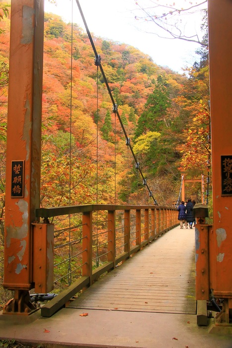 抱返り紅葉祭