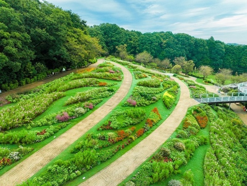 色とりどりの花の丘を散策しよう！<br/>横浜最大級の大花壇に15万本が開花