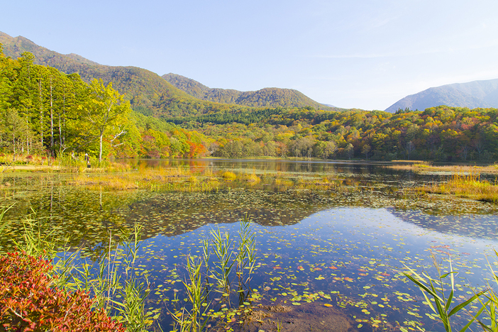 観音沼森林公園 | 福島・会津の大規模森林公園で 四季折々の絶景＆散策