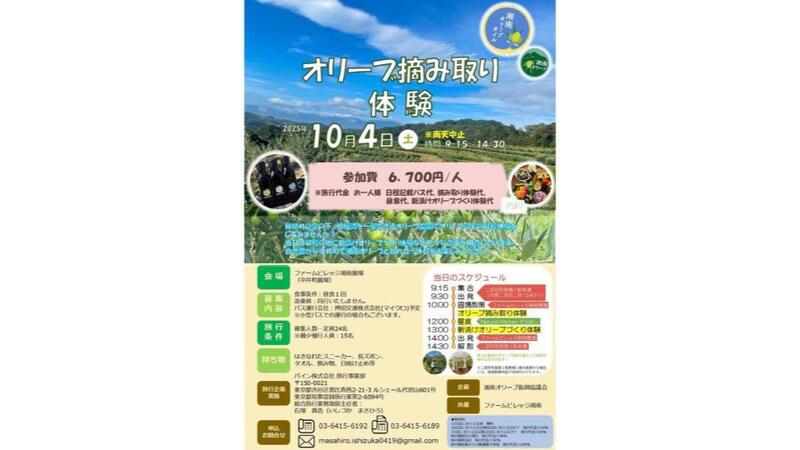 秋の湘南でオリーブ摘み取り体験<br/>自然体験イベント