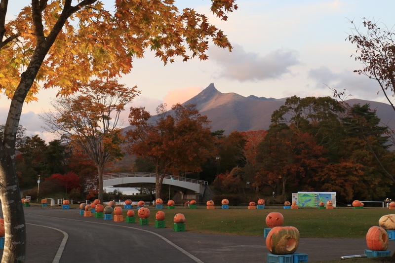 北海道・大沼国定公園で秋イベント<br/>ハロウィン＆紅葉＆花火を満喫