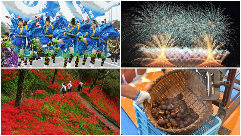 【関東】2025年10月4日・10月5日の週末におすすめの秋祭り＆イベント17選！秋の花火大会や花まつりも<br/>