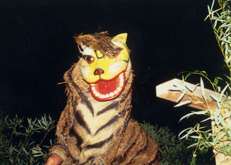 虎と格闘する勇壮な舞！静岡県南伊豆町「小稲の虎舞」2025開催情報