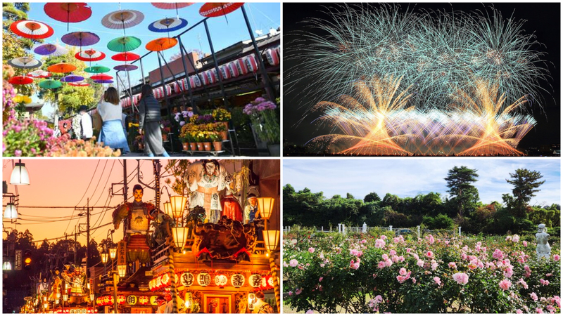 【関東】2025年10月注目イベント！秋バラ＆祭り＆コスモスなどおすすめを厳選