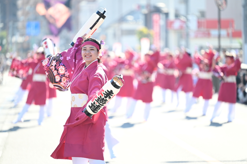 迫力満点のよさこい演舞＆グルメを満喫！「第25回坂戸よさこい」2025年開催情報＆見どころ