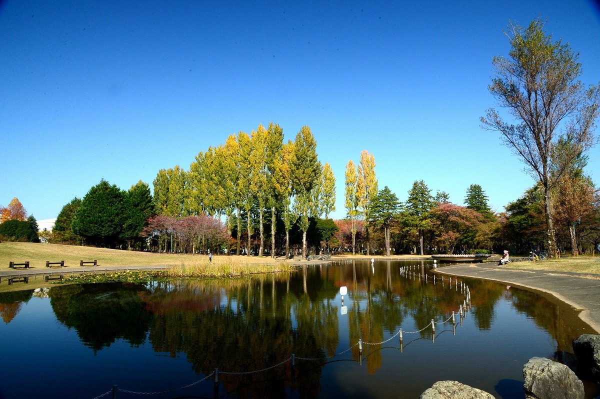 埼玉県営 彩の森入間公園 水と緑に癒やされるひろびろ公園 地元の人気分で「いるまの休日」を 埼玉県入間市 いこーよとりっぷ