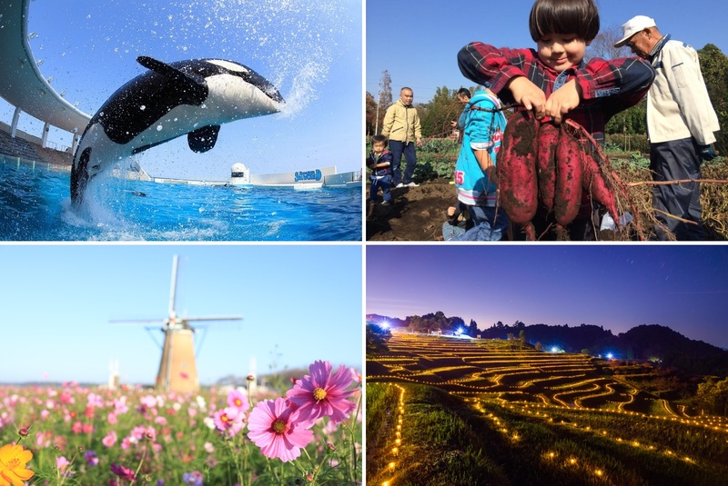 【千葉県】東京から日帰り！10月のおすすめ観光地・穴場10選　ドライブにも◎コスモスの絶景や祭り満喫　