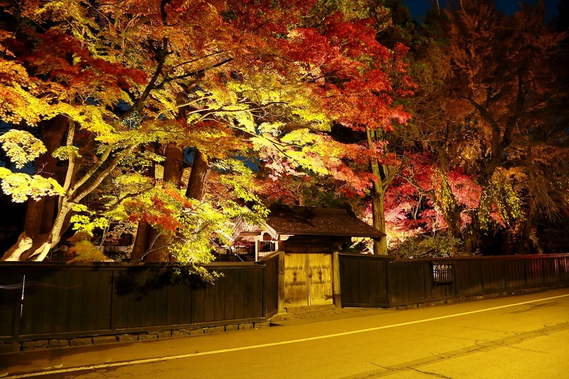 秋田県角館武家屋敷通り紅葉ライトアップ2025｜幻想的な夜の紅葉を楽しもう