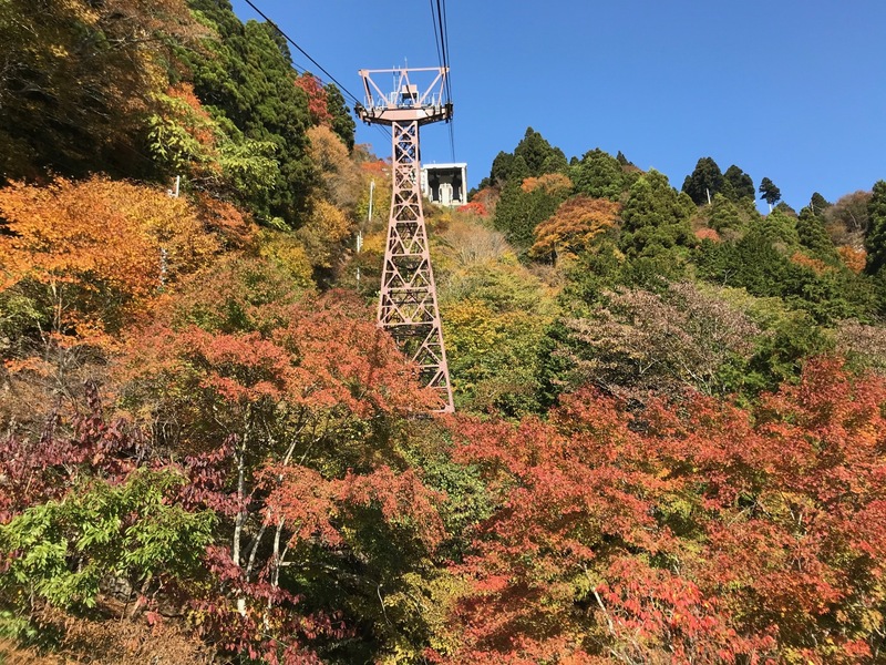 身延山ロープウェイで紅葉を満喫！　山梨・静岡・長野県民は割引キャンペーンでお得
