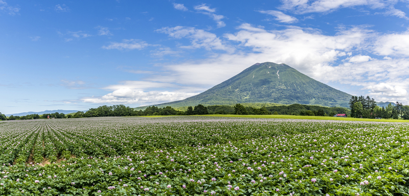羊蹄山の絶景と自然体験が自慢<br/>世界中から観光客が訪れるまち