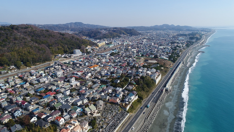 絶景スポットと湘南オリーブを満喫！東京から約70分、ちょうどいい距離の特別なまち