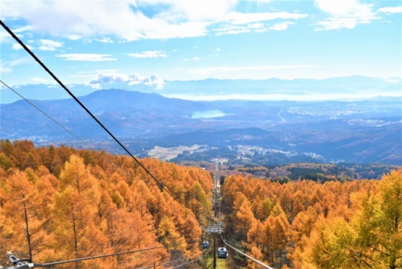 新潟・妙高杉ノ原スキー場で紅葉ゴンドラが運行開始！　標高1500mの絶景と秋イベント満喫
