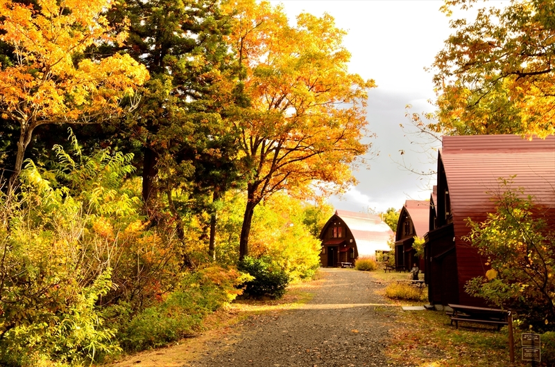 【長野県飯山市】なべくら高原・森の家の紅葉の見どころ