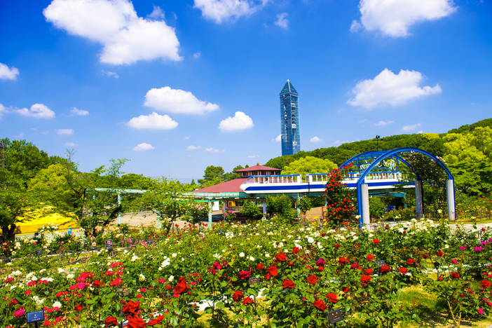 【2025最新】東海でいよいよ見頃!秋バラが絶景のバラ園・名所と穴場7選 春バラとの違い&イベントも